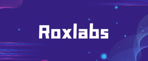 Roxlabs的IP代理如何连？教你快速掌握代理技巧！