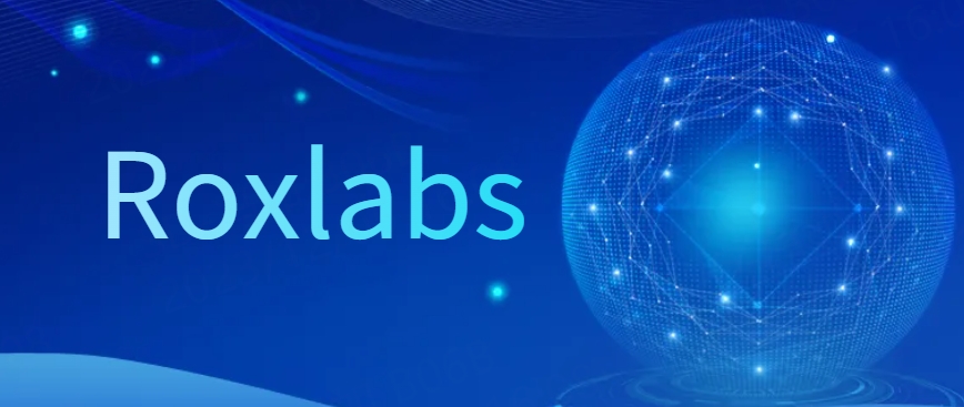 roxlabs提供高速、稳定、安全的代理服务